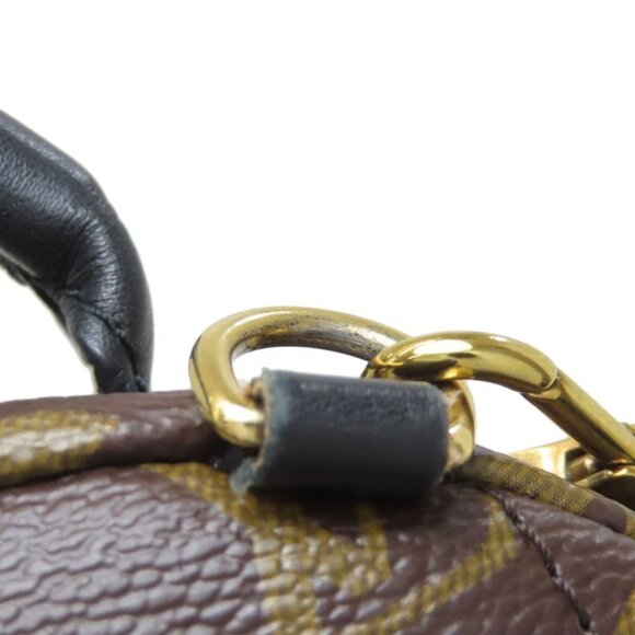 Louis Vuitton Palm Spring Mini Backpack